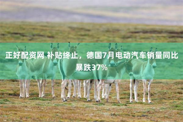 正好配资网 补贴终止，德国7月电动汽车销量同比暴跌37%