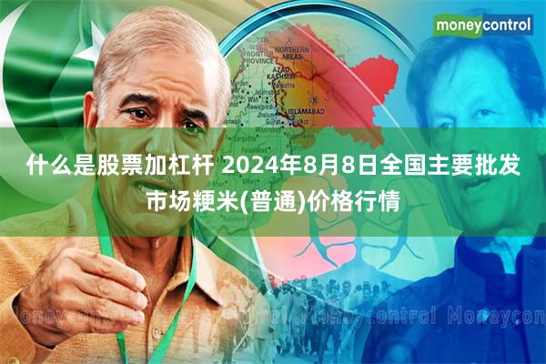 什么是股票加杠杆 2024年8月8日全国主要批发市场粳米(普通)价格行情