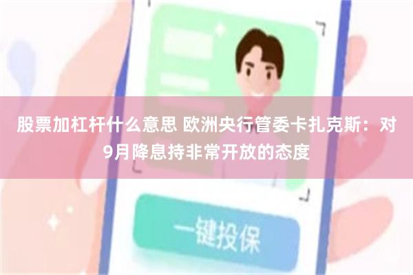 股票加杠杆什么意思 欧洲央行管委卡扎克斯：对9月降息持非常开放的态度