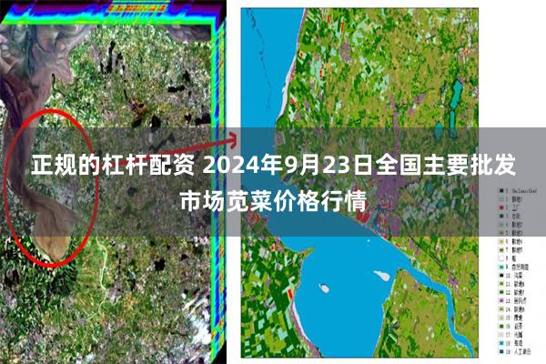 正规的杠杆配资 2024年9月23日全国主要批发市场苋菜价格行情