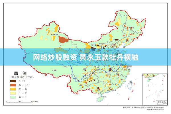 网络炒股融资 黄永玉款牡丹横轴