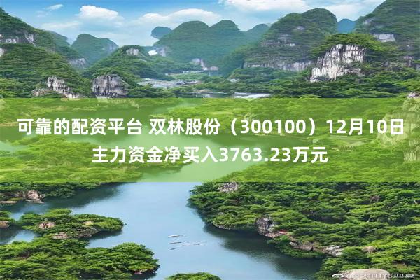 可靠的配资平台 双林股份（300100）12月10日主力资金净买入3763.23万元