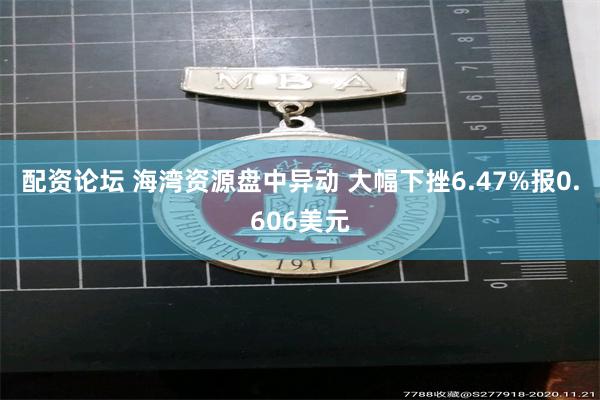 配资论坛 海湾资源盘中异动 大幅下挫6.47%报0.606美元