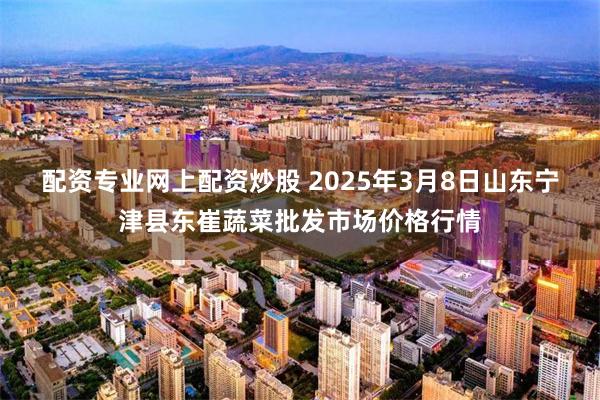 配资专业网上配资炒股 2025年3月8日山东宁津县东崔蔬菜批发市场价格行情